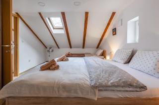 SOKOL - Secret forest house - 5