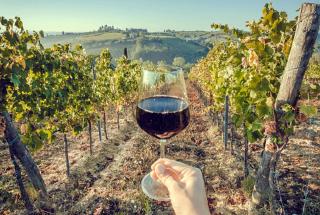 Tuscany Rainbow Home Away From Home - Sarteano - 6