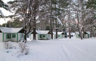 Pine Valley Cabins - Thornton - 9