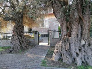 La casa degli ulivi - Turri - 0