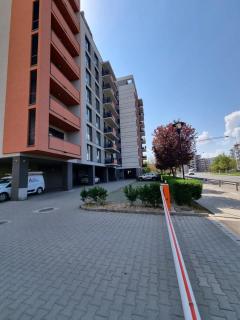 Sahara Sands LOFT Private Parking - Timişoara - 3