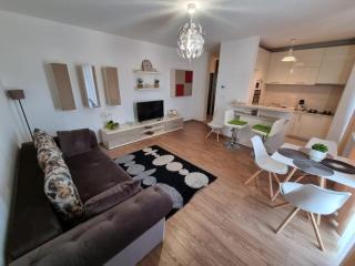 Sahara Sands LOFT Private Parking - Timişoara - 0