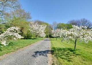 Doves Barn - Brede - 1