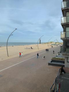 Les pieds dans le sable - De Panne - 9