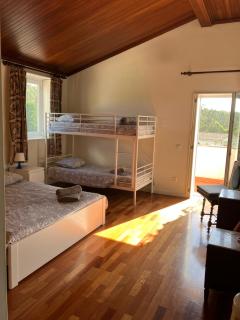 Citrus Tree House, private pool and garden. - Angeja - 4