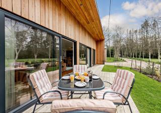 Silver Birch - Beckley - 7