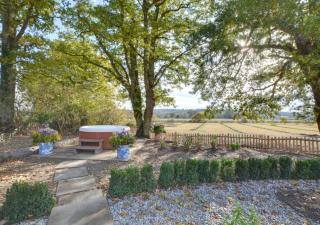 Vineyard Hollow - Bodiam - 6