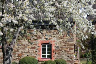Hotel Agnesen-Hof - 6