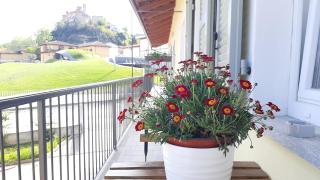 Ciabot delle Aie - Barolo - 2