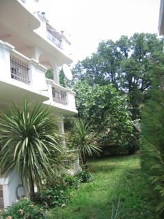 Apartments Villa Mond - Sutomore - 2