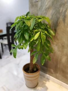 JB Homestay Bukit Indah WiFi CIQ Mall Legoland Free Parking - 1