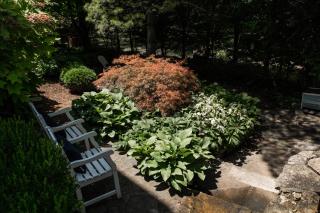 Mary Atkins at Southmoreland on the Plaza - 7