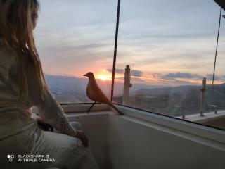 צימרים סוף העולם 3 - 1