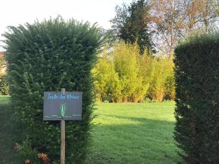 Les Jardins d'Ilona - Les Oliviers - Ecocon - 2