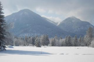 Ferienhaus Eva inkl. Chiemgaukarte - Ruhpolding - 6