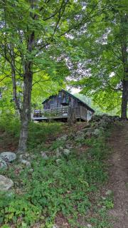 Pond View Cabin - Chittenden - 1