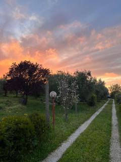 La nostra casetta - Albano Laziale - 8