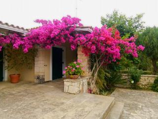 Casa Nostos - Tsilivi - 0
