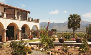 La Villa del Valle - Valle de Guadalupe - 6
