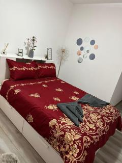 Red Corner Central Apartment - Cluj-Napoca - 5