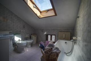 Lucus House - 1