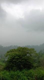 Joy Happy House Ooty - Coonoor - 6
