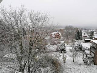 FeWo mit Weser-Fernblick - Hehlen - 3