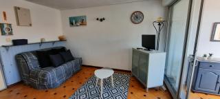 50m de la plage et 10min du marché de Noël du Barcarès - 9