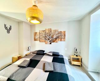 Seppala charmant appartement - Colmar - 8