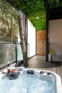 Mobile Home JOY Porton Biondi - 2