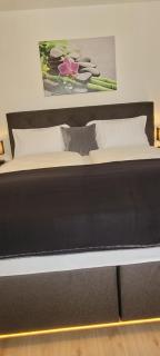 Royal Apartment - Baden-Baden - 2