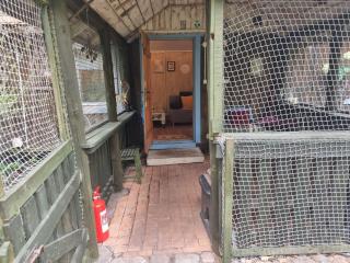 Dom Pod Brzozami Lipinki Bory Tucholskie basen - psy, koty mile widziane! - 1