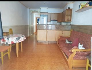 Apartamento daimus - Daimuz - 4