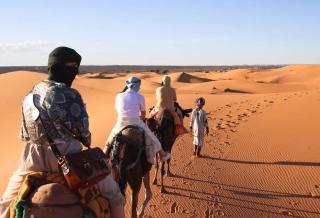 Glance over nights at camp - 3