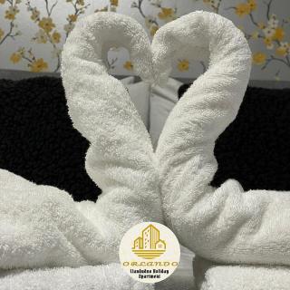 Orlando Llandundo Apartment - 9