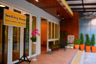 Seedling House - 9