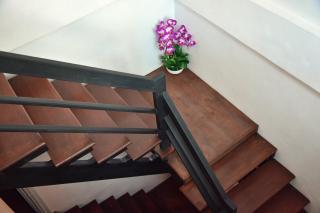 Seedling House - 8