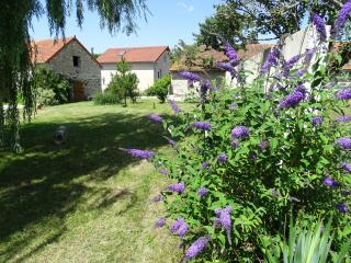 Gîte cosy avec spa, grand jardin, proche de la rivière Sioule - idéal pour famille et relaxation - FR-1-489-342 - Saint-Bonnet-de-Rochefort - 4