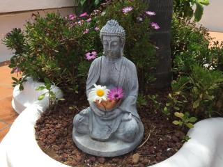 Casa rural con piscina climatizada, barbacoa y Wi-Fi en Icod de los Vinos - ES-279-19 - 5