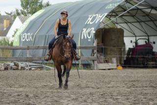 W Diamonds Ranch - 1