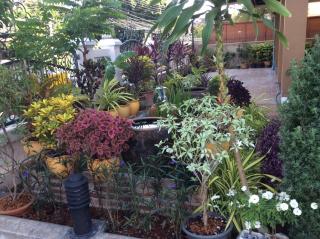 Laph Kham House - Chiang Mai - 7