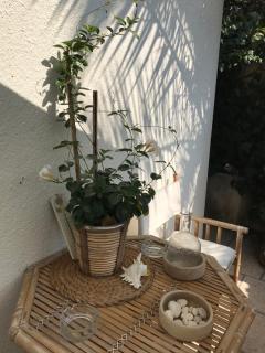 Apartment Oleander - Novalja - 2