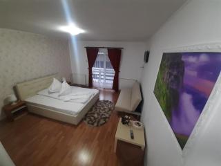 Casa Katalina 2 - Buşteni - 2