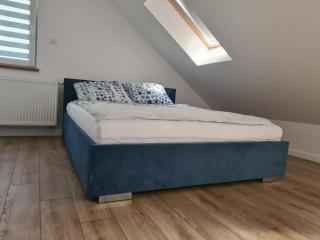 Apartament w sosnowym lesie - Międzywodzie - 1