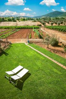 Poggiolivi Agriturismo Bio in Maremma - Alberese - 5