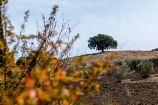 La Moiana - San Quirico dʼOrcia - 3