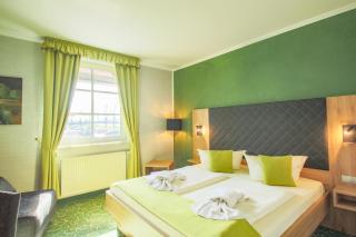 Panorama Berghotel Wettiner Höhe - Seiffen - 4