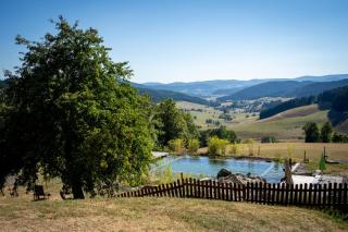 Haberjockelshof Erlebnishof - Titisee-Neustadt - 9