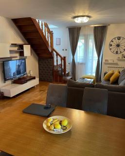 Family Apartment Zlatibor - 7