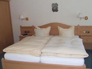 Pension Zueschener Bauernstuben - Winterberg - 4